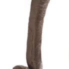 BL154362