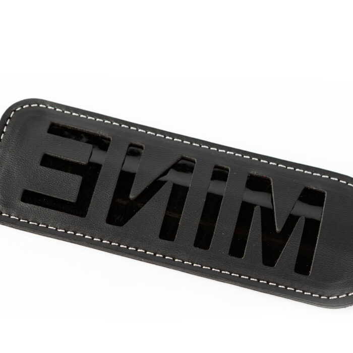 CC-SM-019b CC-SM-019b