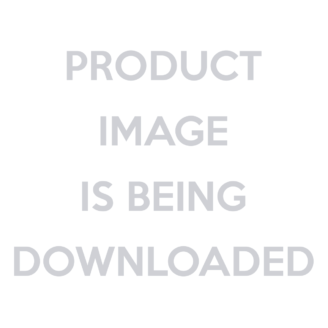 Let's Fool Around Dice Game